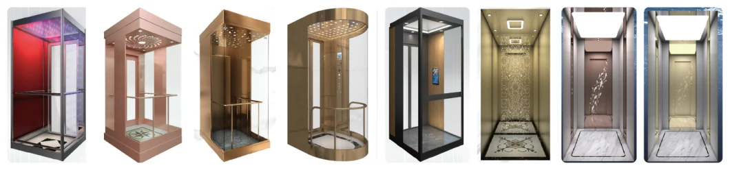 Desenk Passenger Lift Home Lift with Vvvf Lift Control