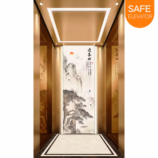Fujixun 골드 미러 스테인레스 스틸 아름다운 클래식 여객 엘리베이터