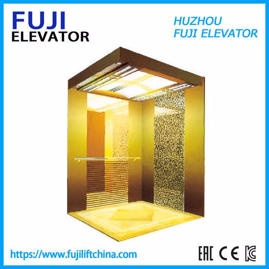 미러 에칭 S. S 리프트 골든 홈 파노라마 여객 엘리베이터가 최적의 가격으로 판매됩니다.